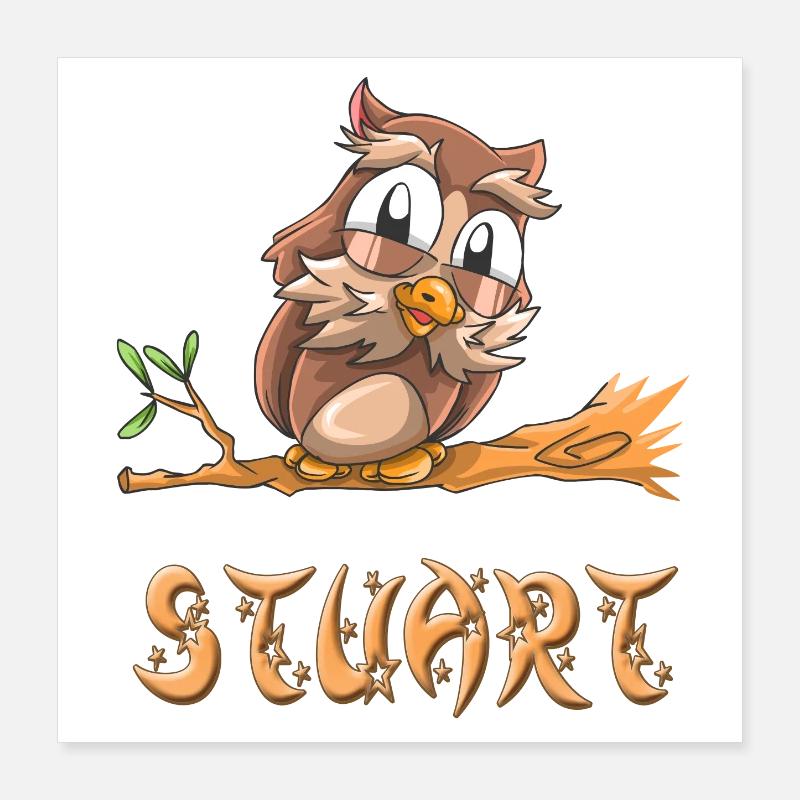 Owl Stuart Poster 40 x 40 cm