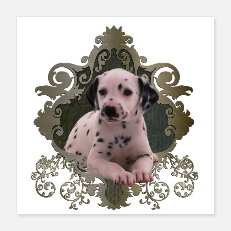 Dalmatien mignon Poster 40 x 40 cm
