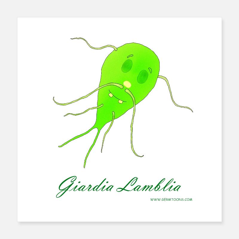 Giardia Lamblia Poster 40 x 40 cm