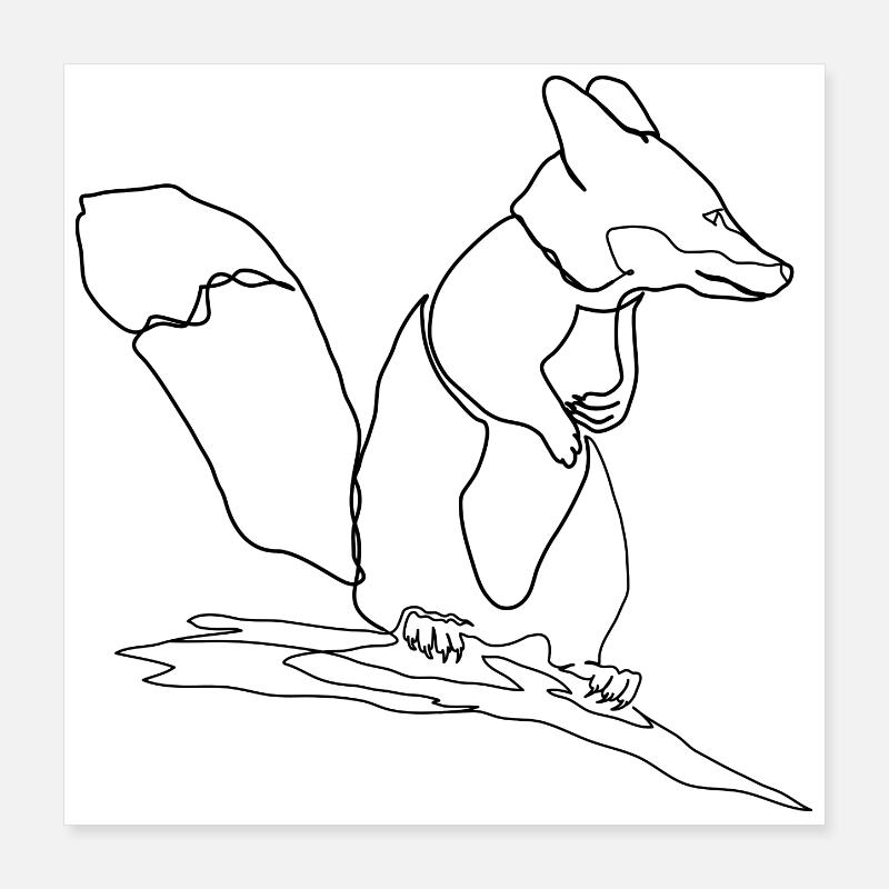 Fox Squirrel Squirrel Fox Poster 40 x 40 cm
