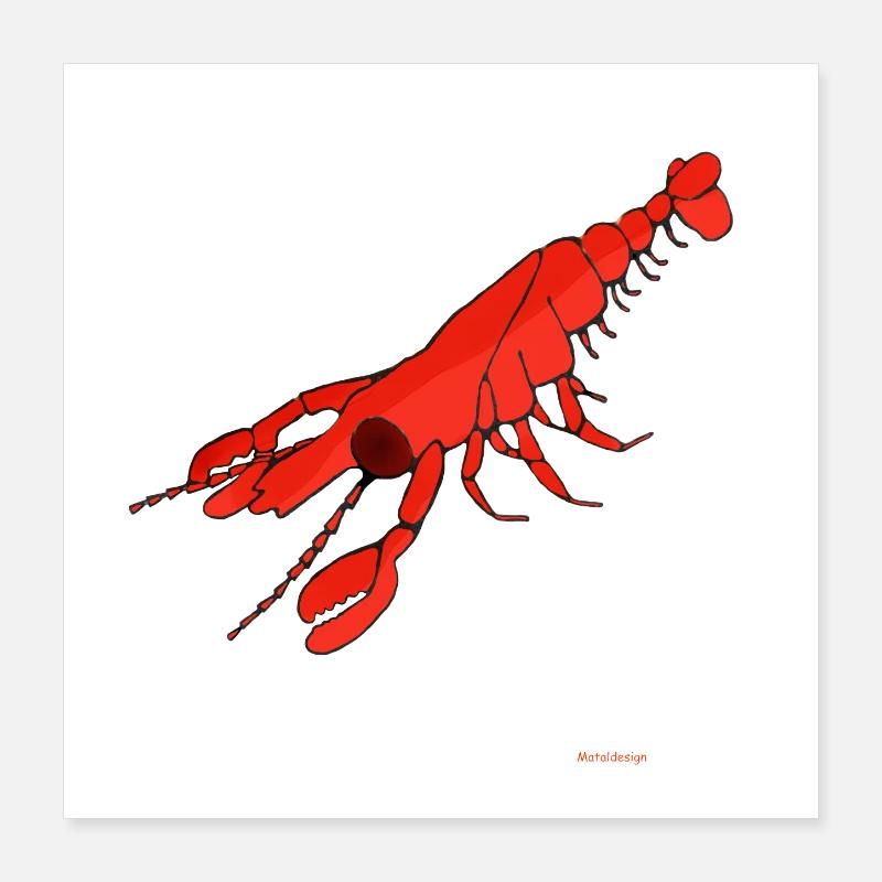 Lobster / Lobster Poster 16" x 16" (40x40 cm)