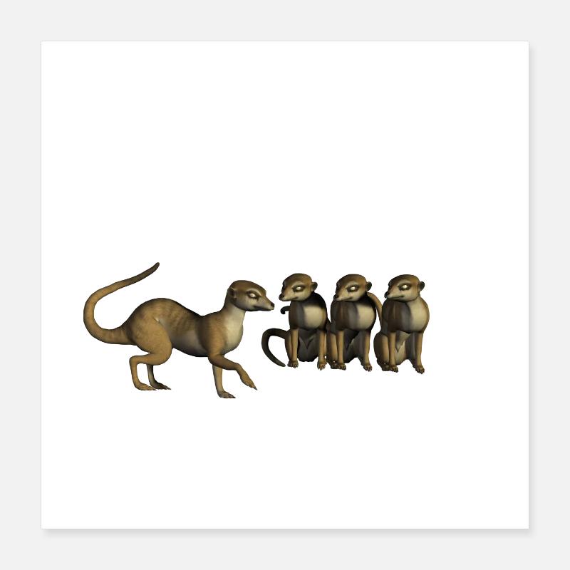 fun meerkats Poster 16" x 16" (40x40 cm)