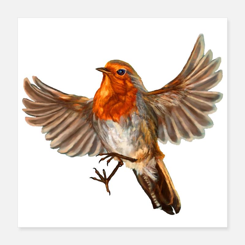 oiseau rouge-gorge Poster 40 x 40 cm