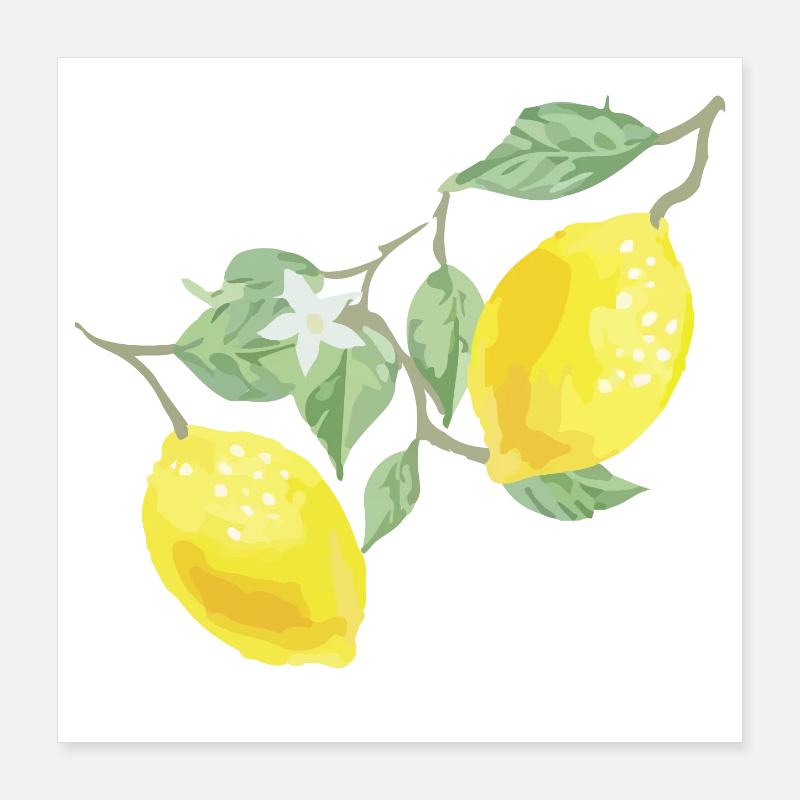 Zitronen Poster 40x40 cm
