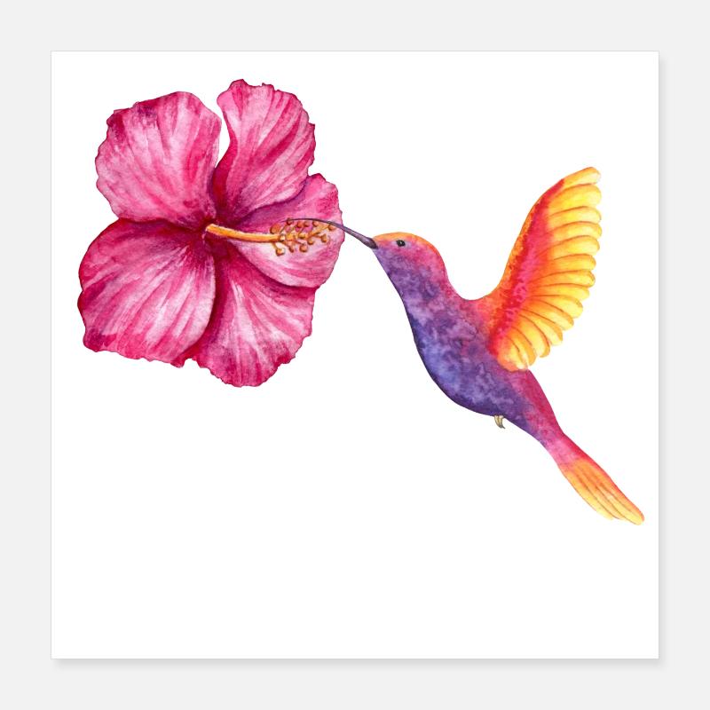Colibri et Hibiscus en Aquarelle Poster 40 x 40 cm