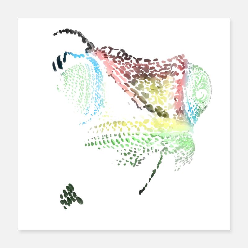 caméléon Poster 40 x 40 cm