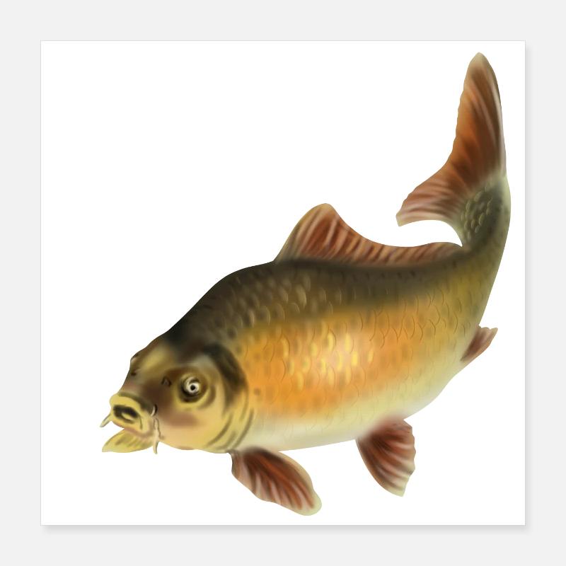 carpe Poster 40 x 40 cm