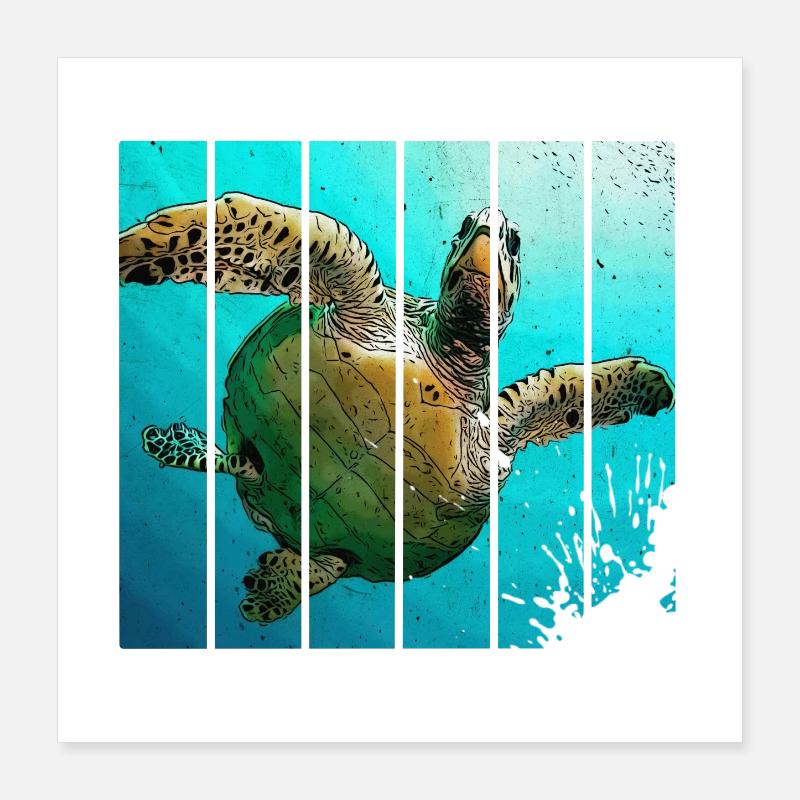 Schildkröte Poster 40x40 cm
