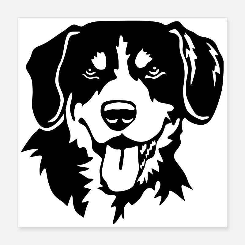 Entlebuch mountain dog head Poster 16" x 16" (40x40 cm)