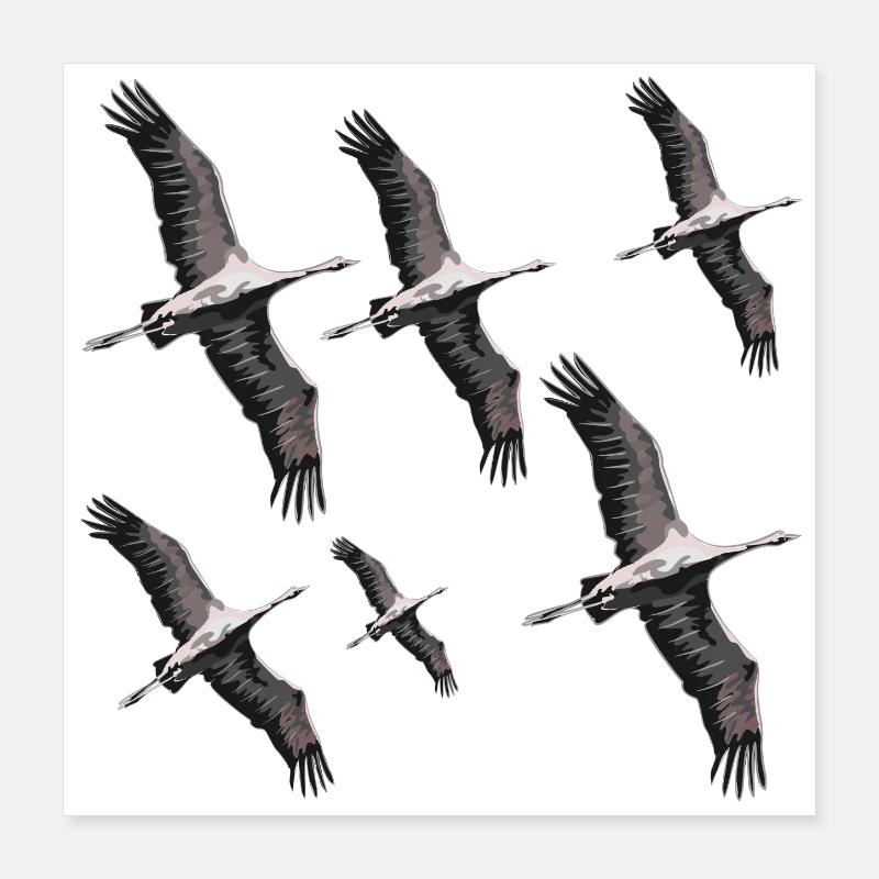 Vogelzug Kraniche Poster 40x40 cm