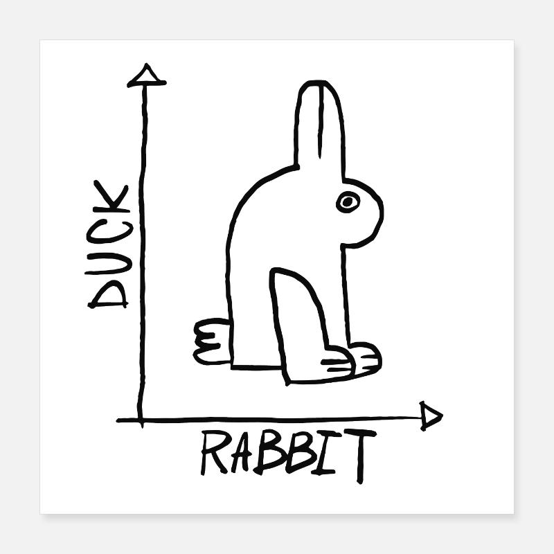Ente oder Hase Poster 40x40 cm