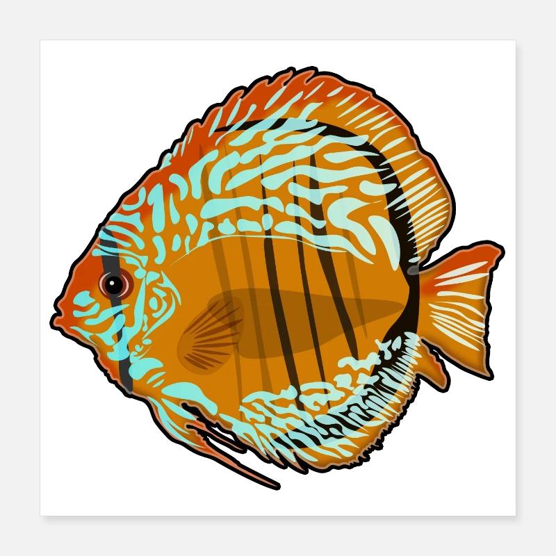 Diskusfisch Aquarium Zeichnung Poster 40x40 cm
