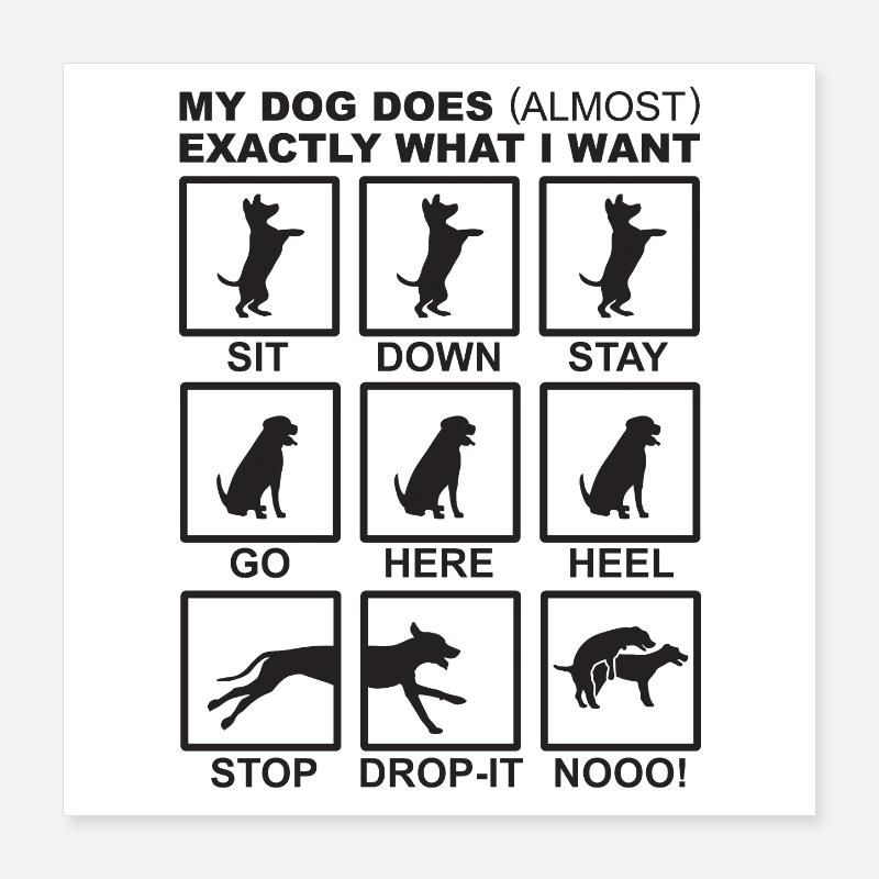 Dog Commands Poster 16" x 16" (40x40 cm)