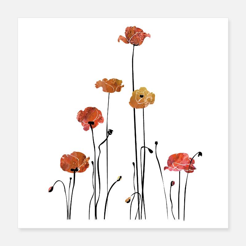 Mohnblume Klatschmohn Poster 40x40 cm