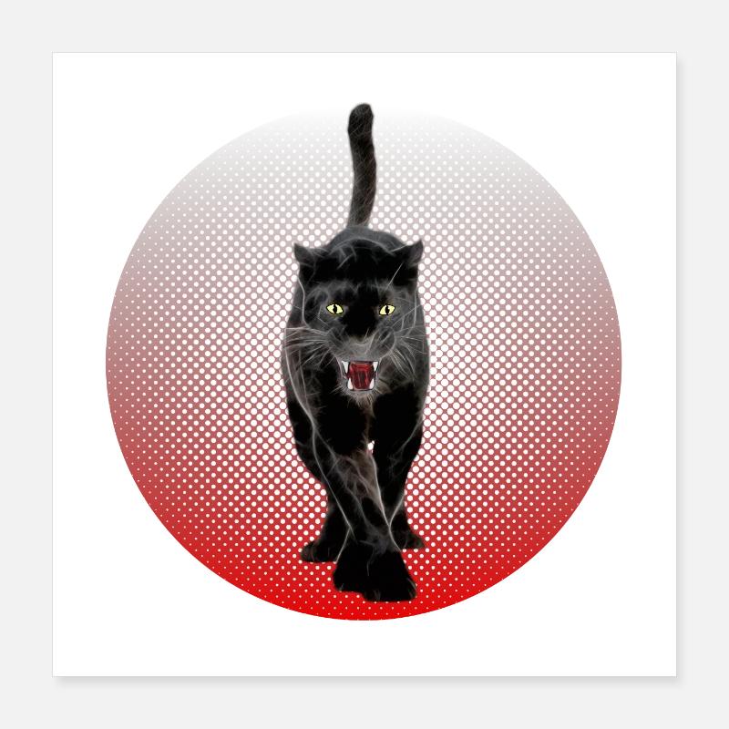 Black Cougar schwarzer Panther CB Cat Black Poster 40x40 cm