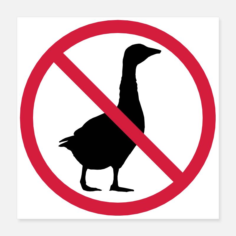 Gans Verboten Schild Poster 40x40 cm