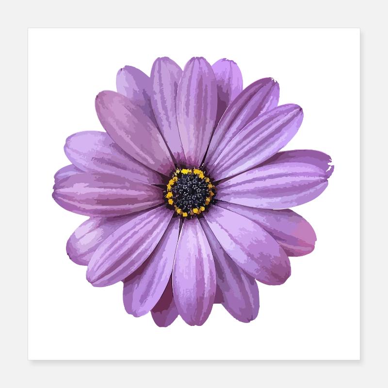 Blume Poster 40x40 cm