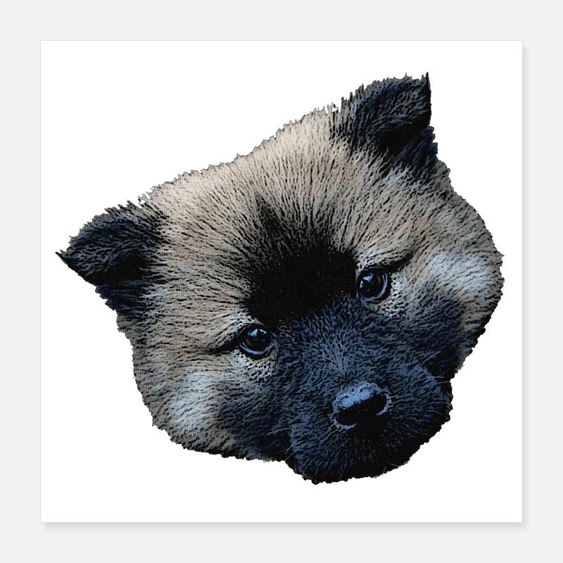 hündchen closing, eurasier welpe Poster 40x40 cm
