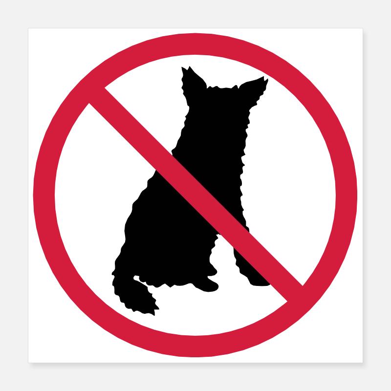 Cani Scudo Proibito Poster 40x40 cm