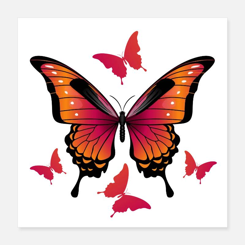 Papillons - Papillon Poster 40 x 40 cm