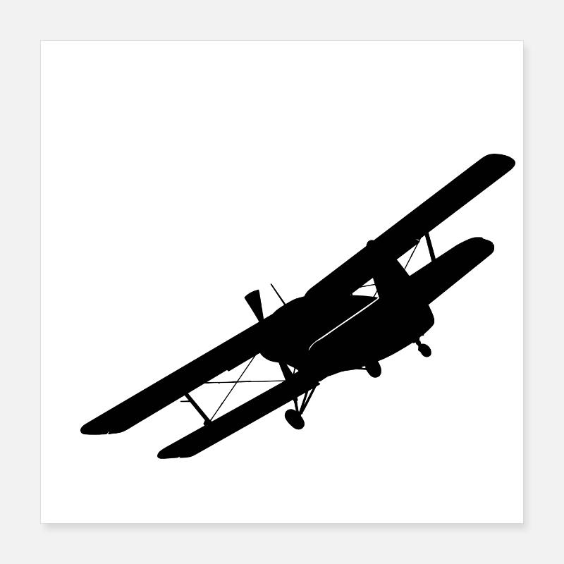 An2 Poster 40 x 40 cm