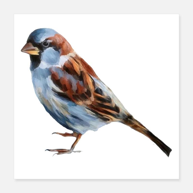 Vogel Spatz  Poster 40x40 cm
