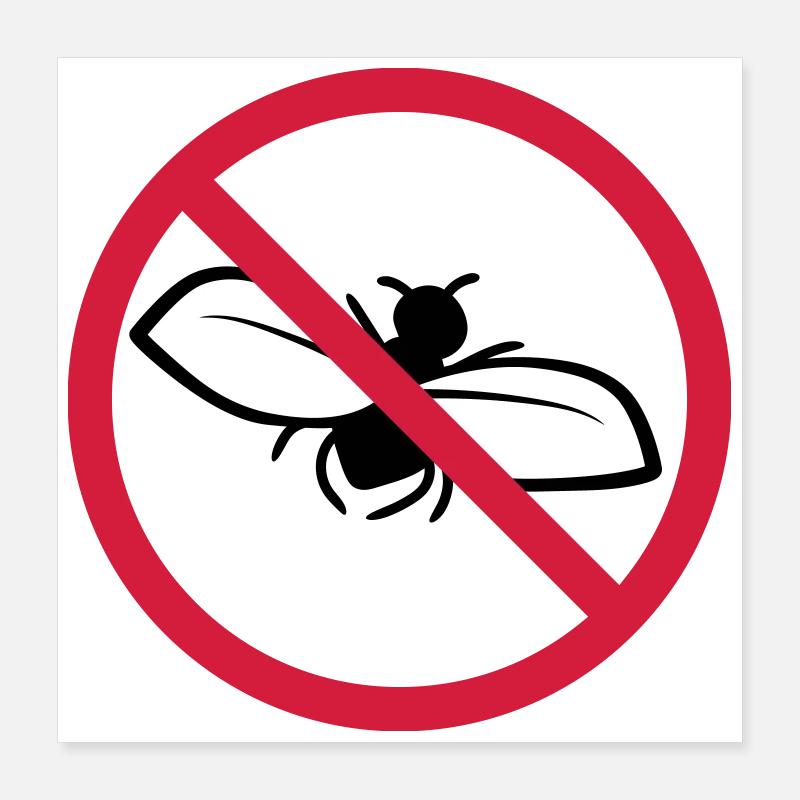Fliege Verboten Schild Poster 40x40 cm