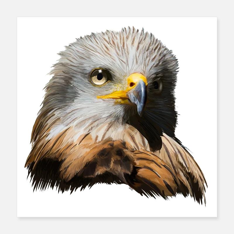 Imperial eagle Poster 16" x 16" (40x40 cm)