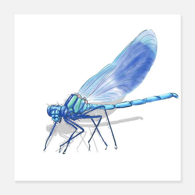Imprimé de la Braise de Libellule Bleue Poster 40 x 40 cm
