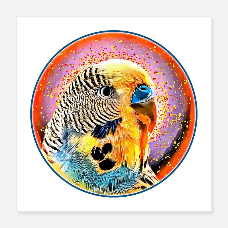 La perruche dans la bulle de savon Poster 40 x 40 cm