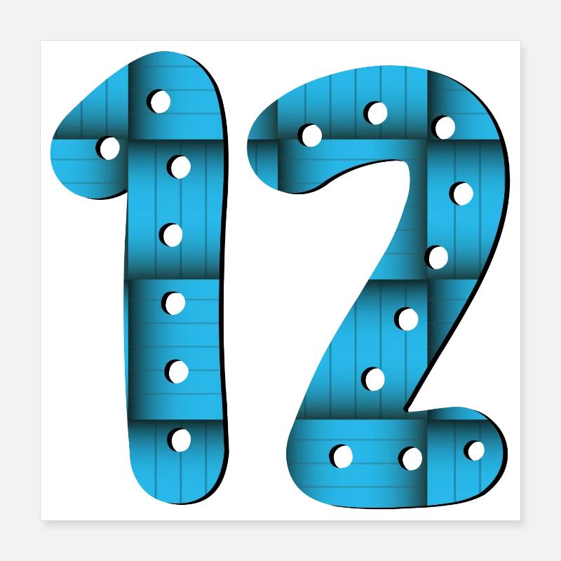 12th Birthday - Number 12 - TWELVE - TWELVE YEAR OLD Poster 16" x 16" (40x40 cm)