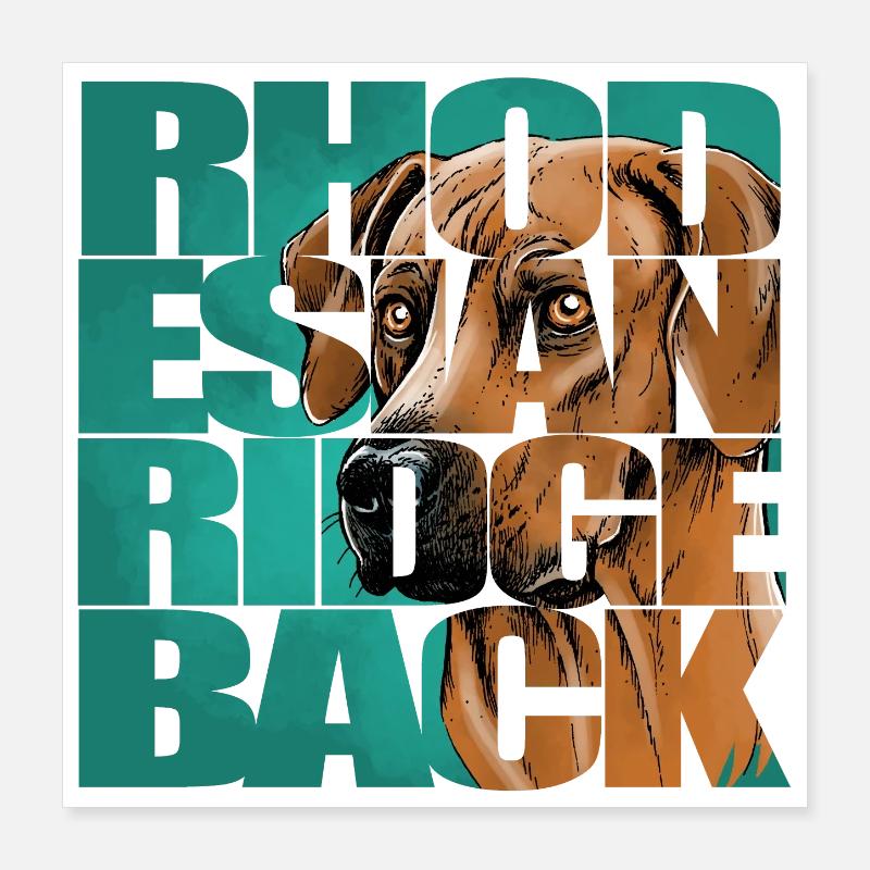 Rhodesian Ridgeback Poster 40x40 cm
