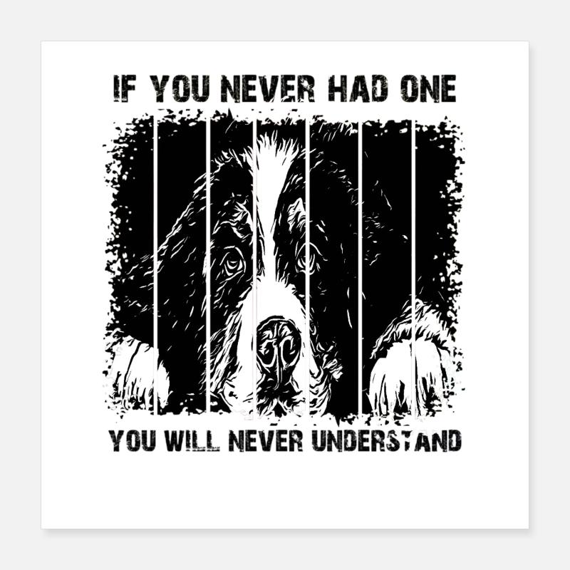 Berner Sennenhund Poster 40x40 cm