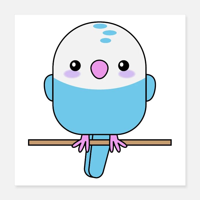 Cute budgie, parrot, bird Poster 16" x 16" (40x40 cm)