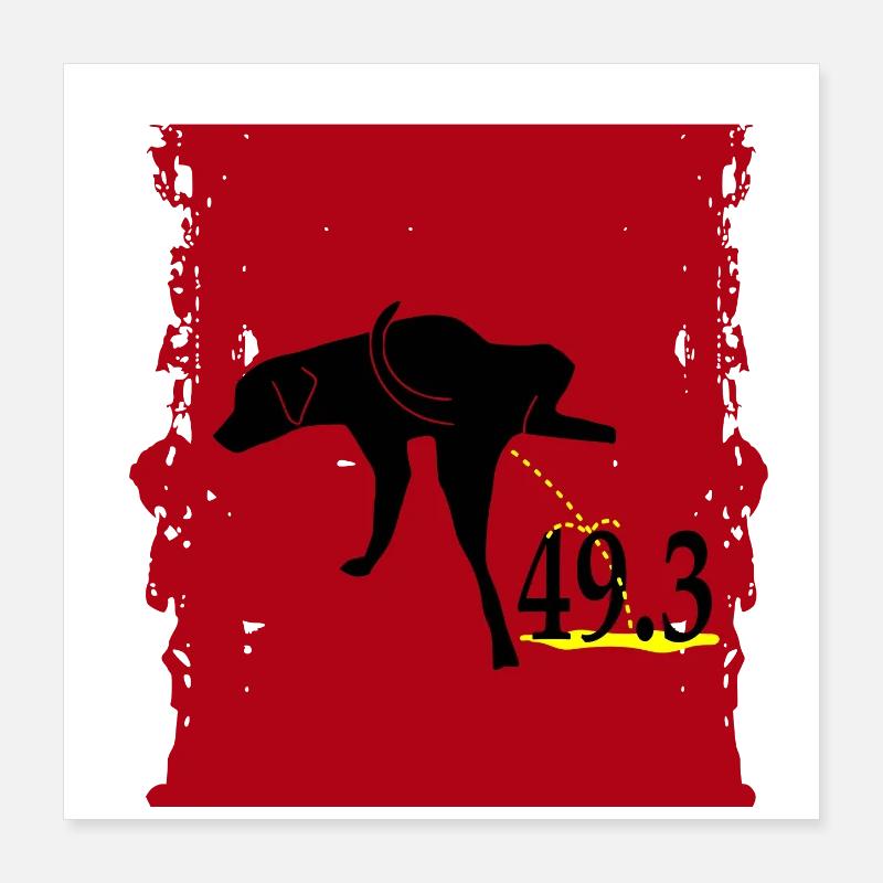 49.3 Poster 40 x 40 cm