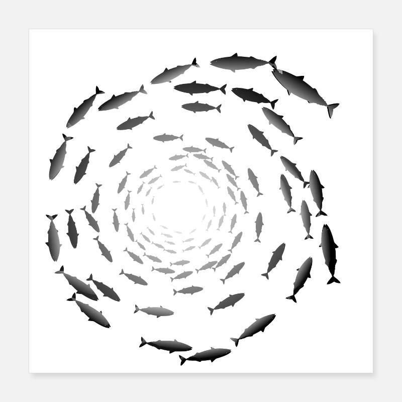 School of fish Poster 16" x 16" (40x40 cm)