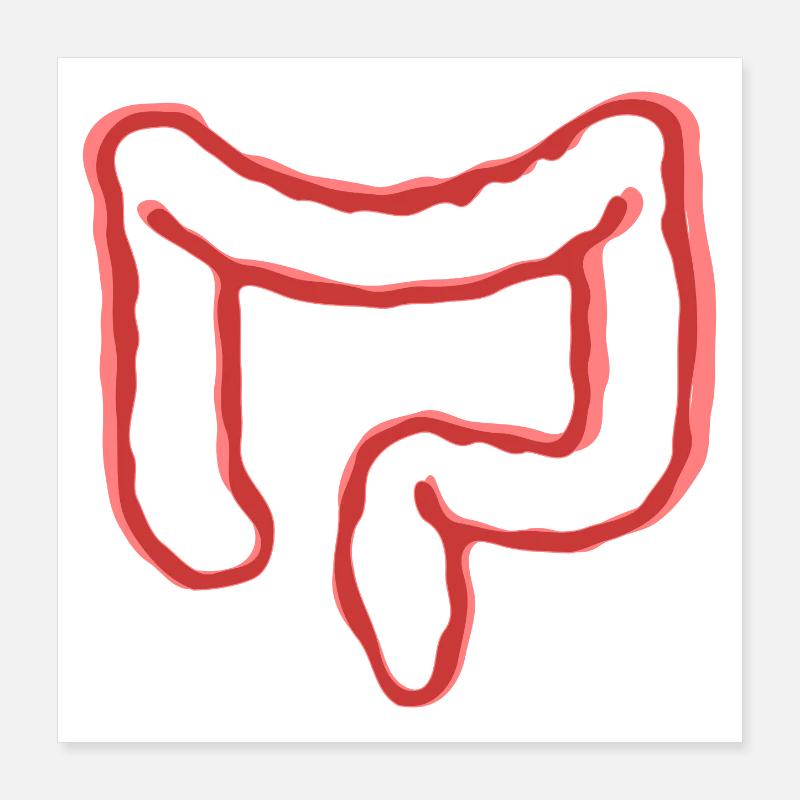 ORGANE INTESTINAL Poster 40 x 40 cm