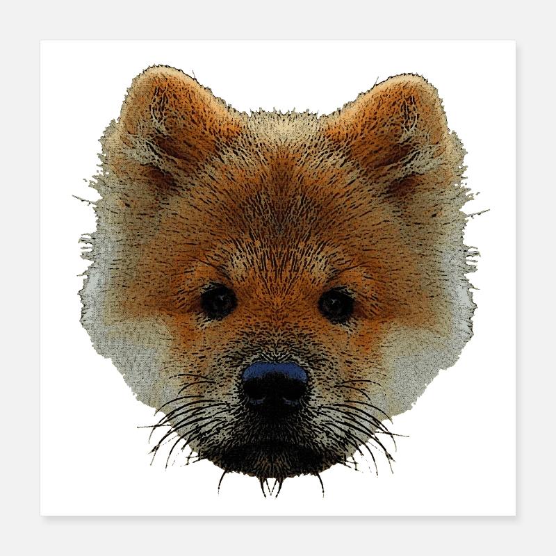 sweater mit hündchen, chow chow welpe Poster 40x40 cm