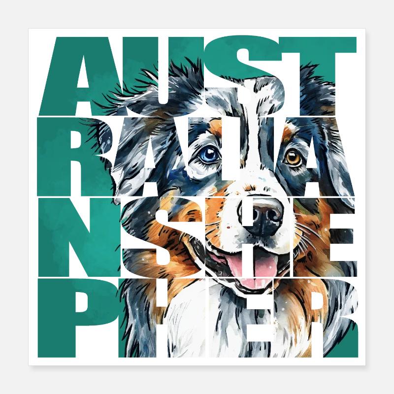 Australian Shepherd Portrait Poster 40x40 cm