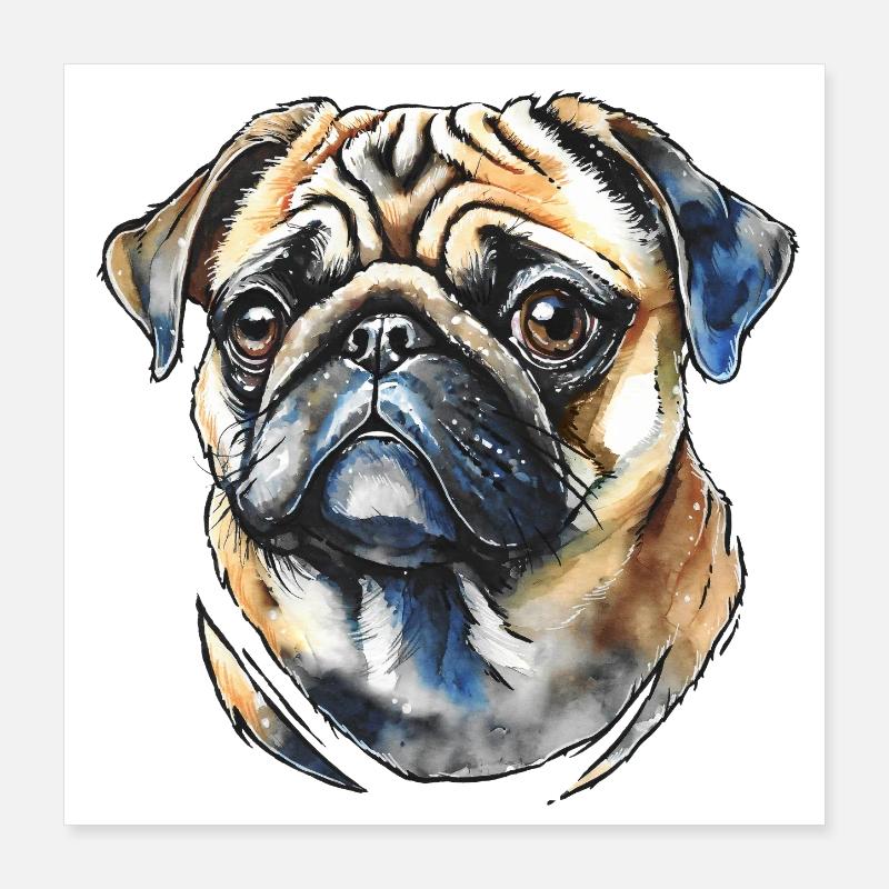 Portrait de carlin Poster 40 x 40 cm
