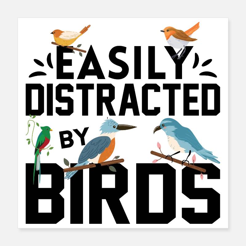 Easily Distracted by Birds Poster 16" x 16" (40x40 cm)