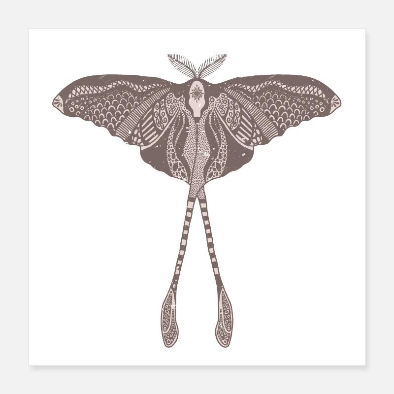 Chinese Moon Moth - Luna Moon Moth Poster 16" x 16" (40x40 cm)