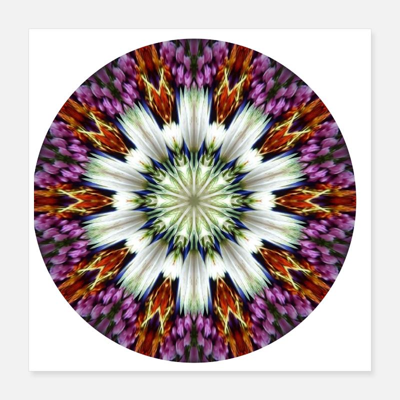 Étoile florale kaléidoscopique Poster 40 x 40 cm