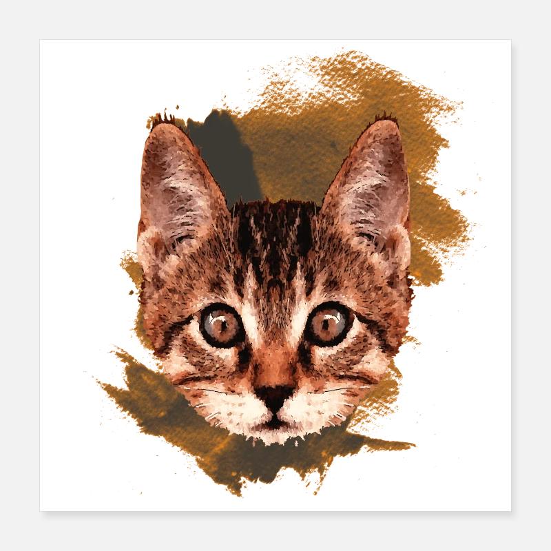kätzchen Gesicht, tabby Motive, gestromt Poster 40x40 cm