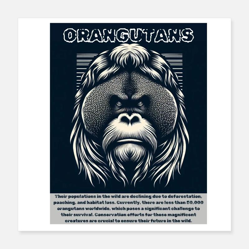 Orang-utans Poster 40x40 cm
