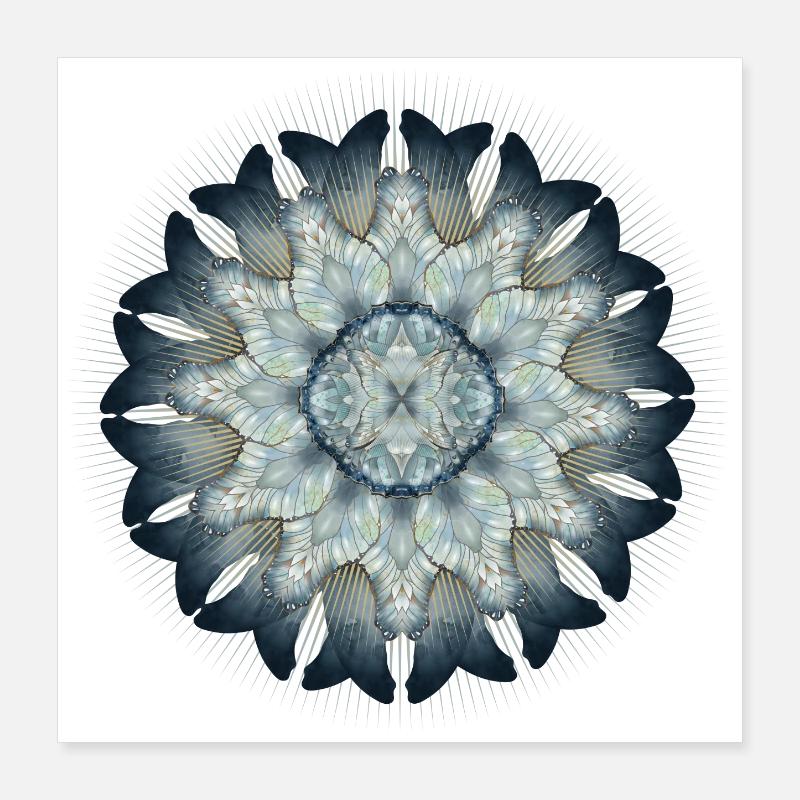 Ornement d’aile de papillon dans des tons délicats de bleu Poster 40 x 40 cm