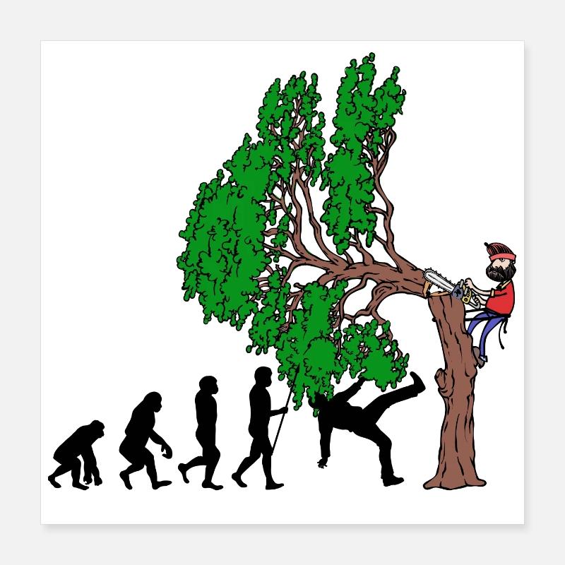 Tree Evolution Bois Bûcheron Forêt de bûcherons Poster 40 x 40 cm