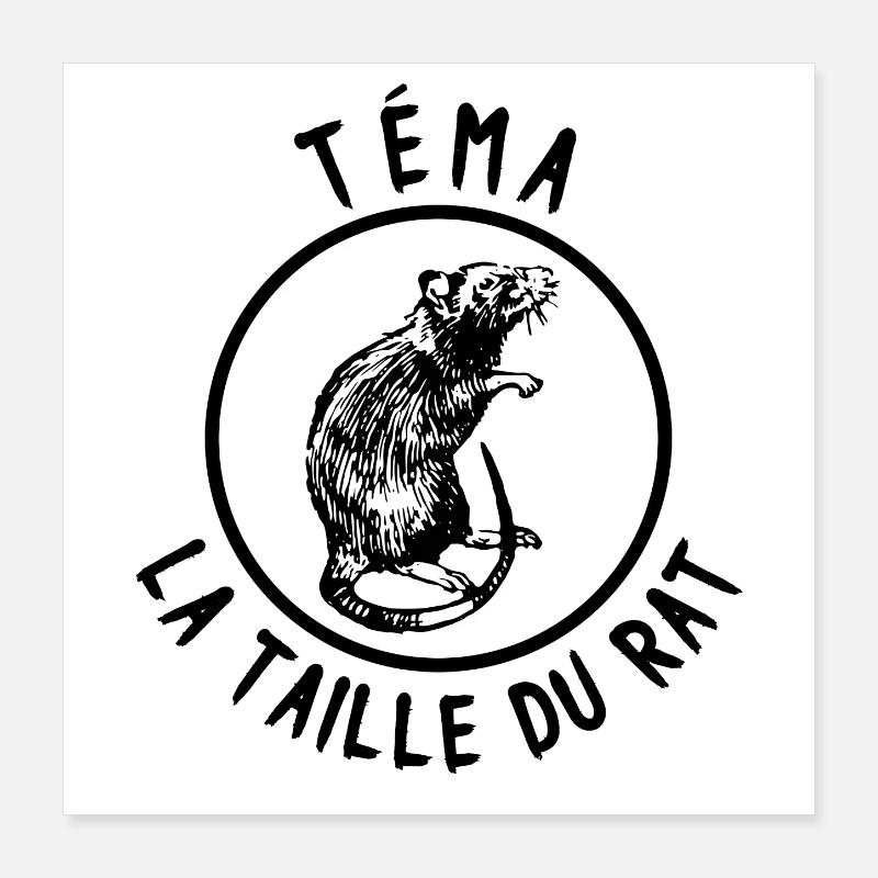 Tema la taille du rat Poster 40 x 40 cm