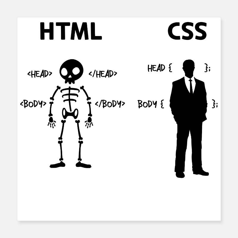 Developer Programmierer Coden Css Skripting Code Poster 40x40 cm