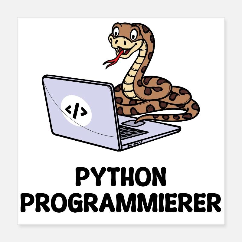 Déclaration du développeur de code informatique du programmeur Poster 40 x 40 cm